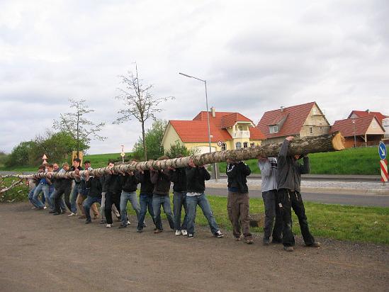 Maibaum 092.jpg